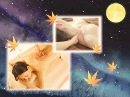 11月のオススメ【秋香る】